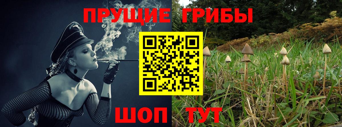 Благодарный  Псилоцибиновые грибы прущие грибы  Галлюциногенные грибы Magic Shrooms  Вход с VPN 